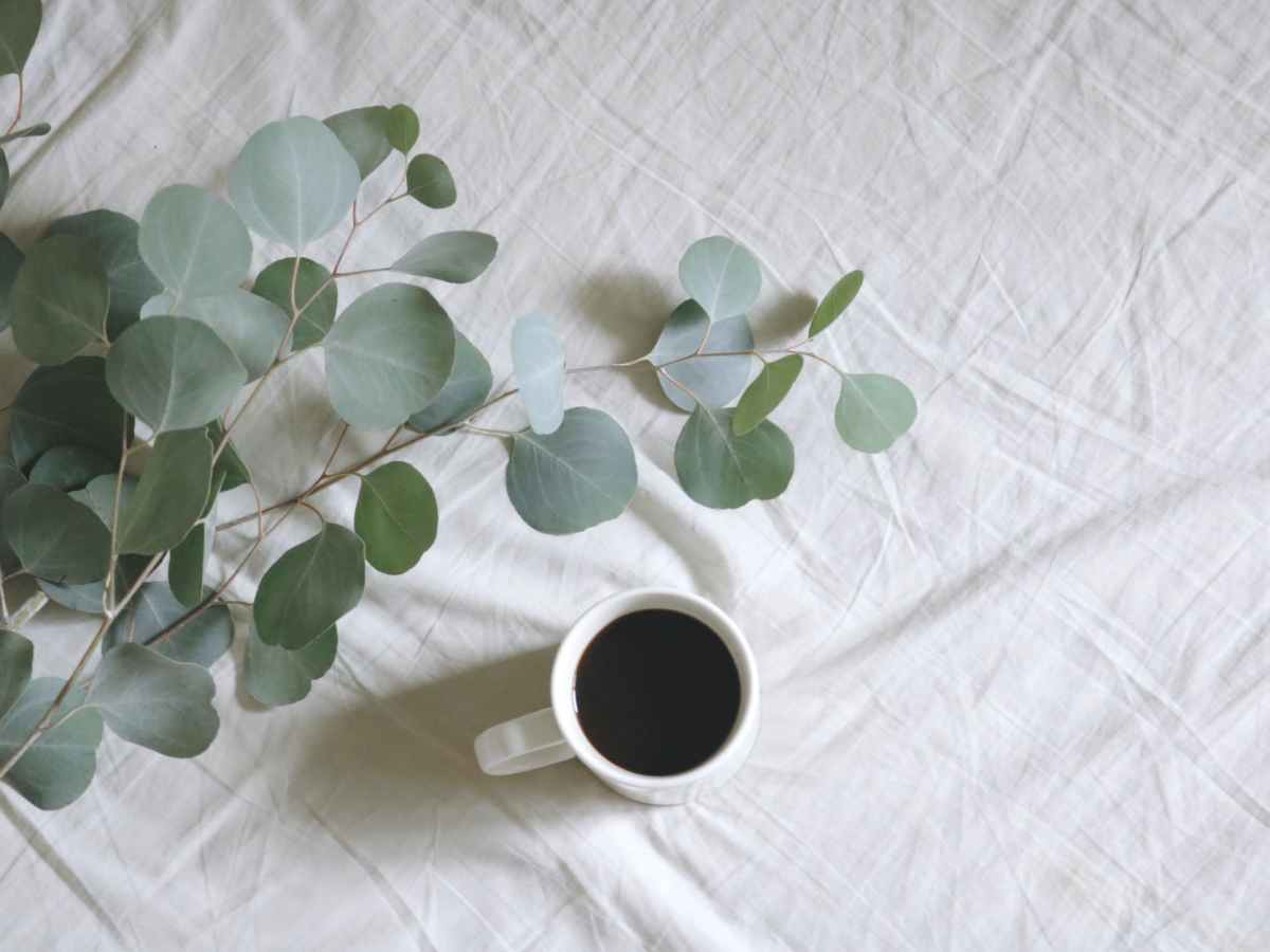 హెర్బల్ కాఫీ(చుక్కు కప్పి)-Herbal Coffee(Chukku&nbsp;Kappi)